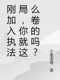 刚加入执法局,你就这么卷的吗？