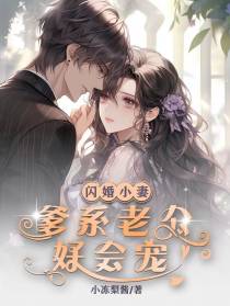 闪婚小妻：爹系老公好会宠