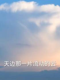 天边那一片流动的云