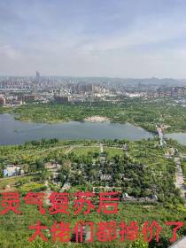 灵气复苏后大佬们都掉价了