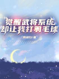 觉醒武将系统却让我打羽毛球