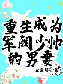 重生成为军阀少帅的男妻
