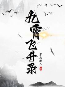 九霄飞升录