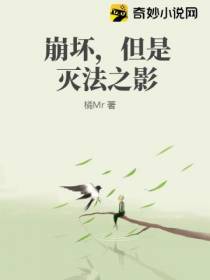崩坏,但是灭法之影