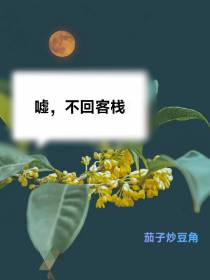 嘘,不回客栈
