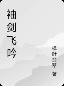 袖剑飞吟
