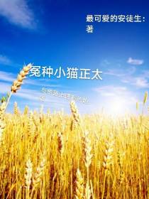 冤种小猫正太与他路上认的姐姐