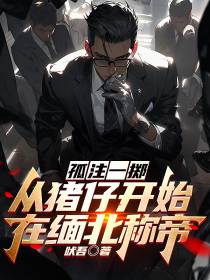 孤注一掷：从猪仔开始在缅北称帝