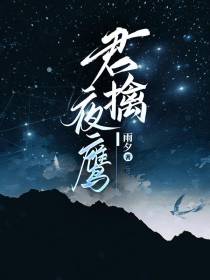 君擒夜鹰