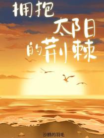 拥抱太阳的荆棘