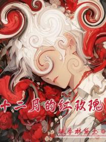 十二月的红玫瑰