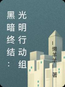 黑暗终结：光明行动组