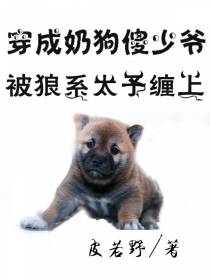 穿成奶狗傻少爷,被狼系太子缠上