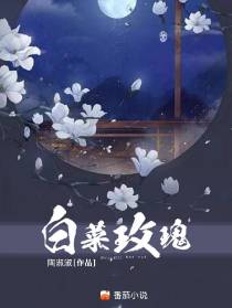 白菜玫瑰