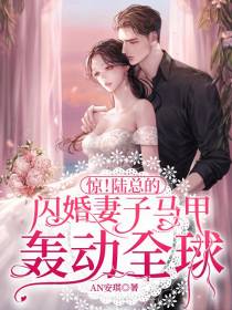惊！陆总的闪婚妻子马甲轰动全球