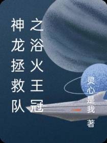 神龙拯救队之浴火王冠