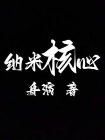 纳米核心