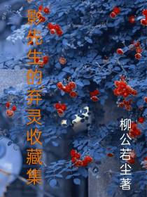 影先生的弃灵收藏集