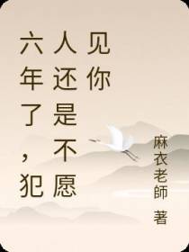 六年了,犯人还是不愿见你