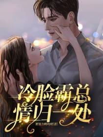 羽情归书