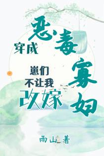穿成恶毒寡妇,崽们不让我改嫁