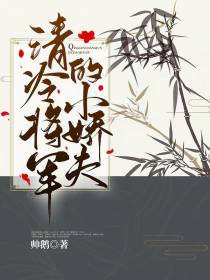 清冷将军的小娇夫