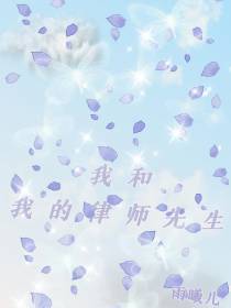 我和我的律师先生