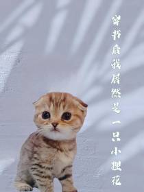 穿书后,我居然是一只小狸花