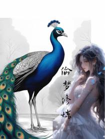 偷梦修炼
