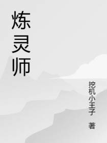 炼灵师