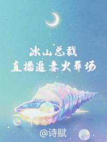 冰山总裁直播追妻火葬场