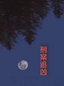 刑案追凶
