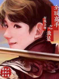 全职高手之我是狂战法师