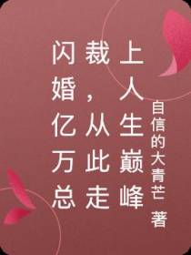 闪婚亿万总裁,从此走上人生巅峰