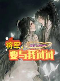 将军,要与我试试