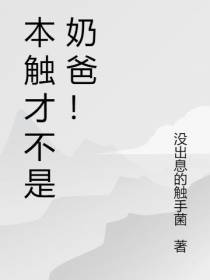 本触才不是奶爸！