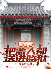 四合院：把恶人都送进监狱