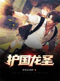 护国龙圣