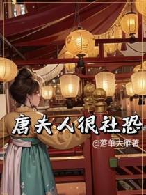 唐夫人很社恐