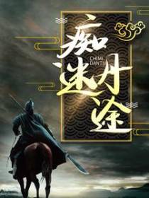 痴迷丹途