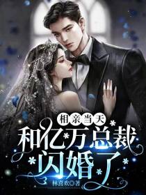 相亲当天，和亿万总裁闪婚了