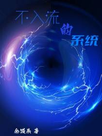 不入流的系统
