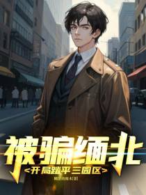 被骗缅北,开局踏平三园区