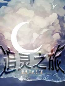 追灵之旅