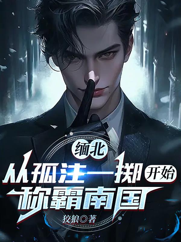缅北：从孤注一掷开始,称霸南国