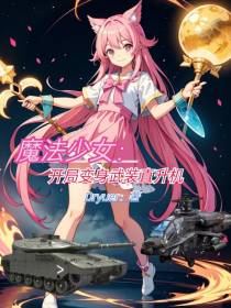 魔法少女：开局变身武装直升机！