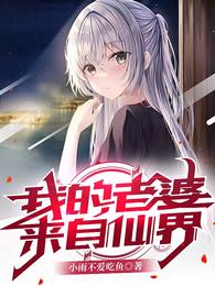 我的老婆来自仙界牧长安