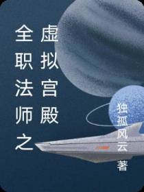 全职法师之虚拟宫殿