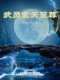 武灵玄天至尊