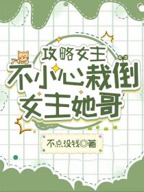 攻略女主,不小心栽倒女主她哥